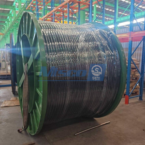 Duplex Steel 2205 Welded Coiled Tubing with PVDF Encapsulation for Harsh Corrosive Environment