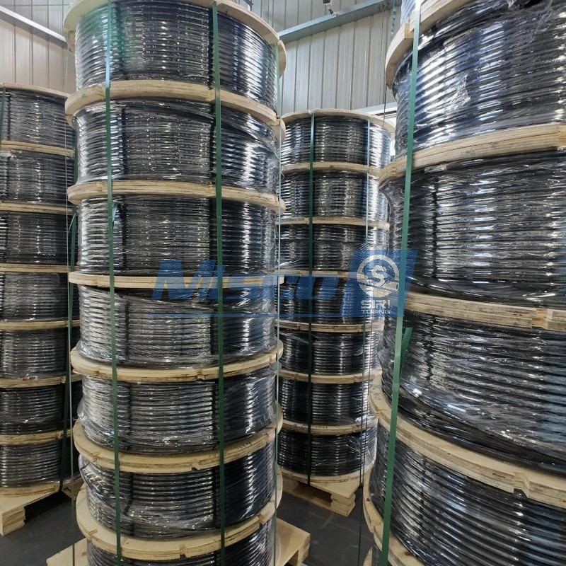 ASTM B704 Nickel Alloy 625 UNS N06625 Encapsulated Control Line with Rilsan PA 11