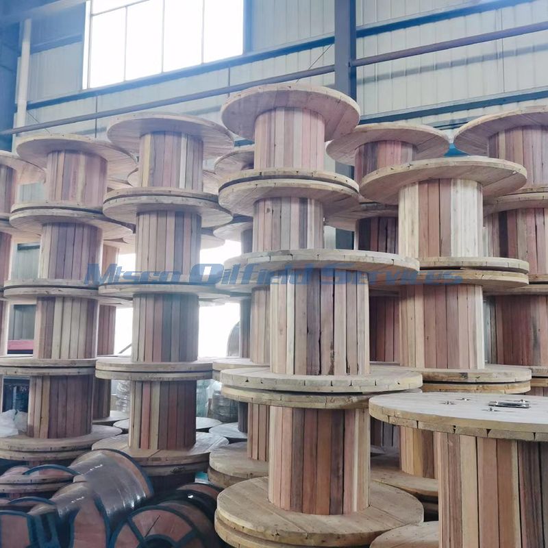 coiled tubing packing (3)