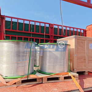 ASTM B704 Alloy 825 Cold Drawn Welded Coiled Tubing 1/4 inch