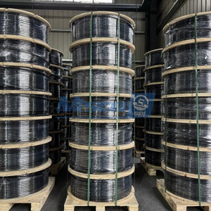 304 Stainless Steel Control Line Flatpack with FEP Encapsulation