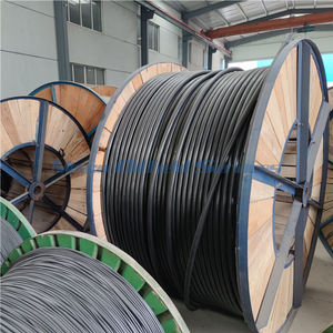Wireline Encapsulated Cable With Copper Wire Nickel Alloy 825 Outer Tube