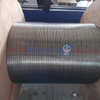 ASTM A269 TP316L Welded Coiled Tubing for Oil and Gas Control Lines