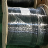 Resistant To Hydrogen Sulphide Corrosion S32750/2507 Multi-core Tubing in Petrochemical Field