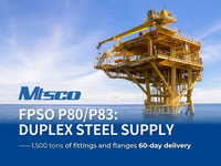 //inrorwxhjlijln5q-static.micyjz.com/cloud/lpBpoKqilpSRllqqkoiriq/MTSCO-FPSO-P80-duplex-steel-fitting.jpg