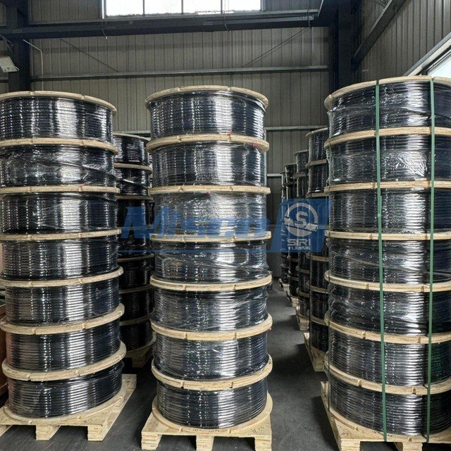 ASTM B704 Nickel Alloy 625 UNS N06625 Encapsulated Control Line with Rilsan PA 11